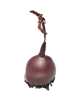 ΤΣΑΜΠΙ ΒΥΣΣΙΝΟ